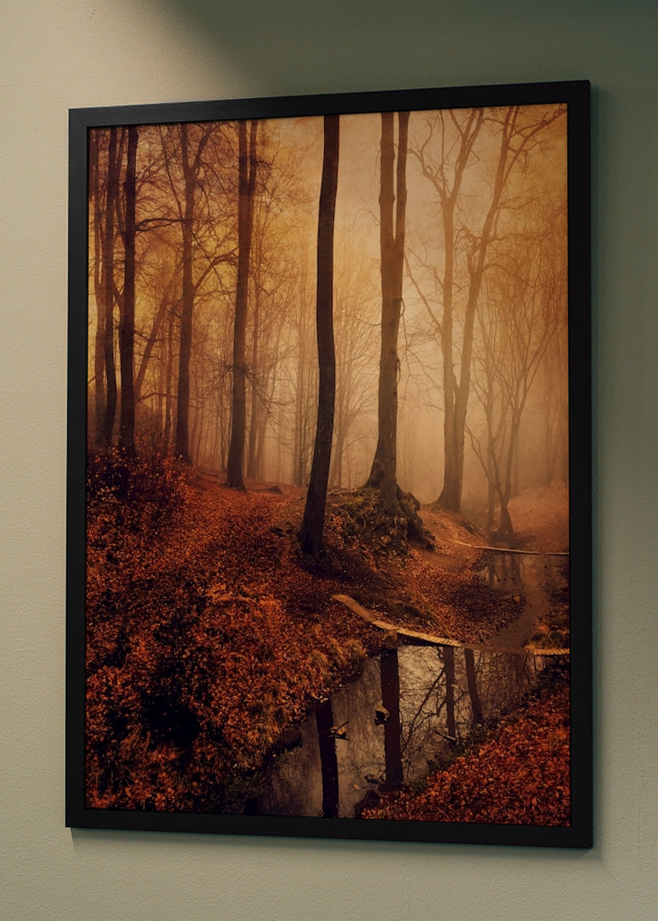 Forest Creek in Autumn