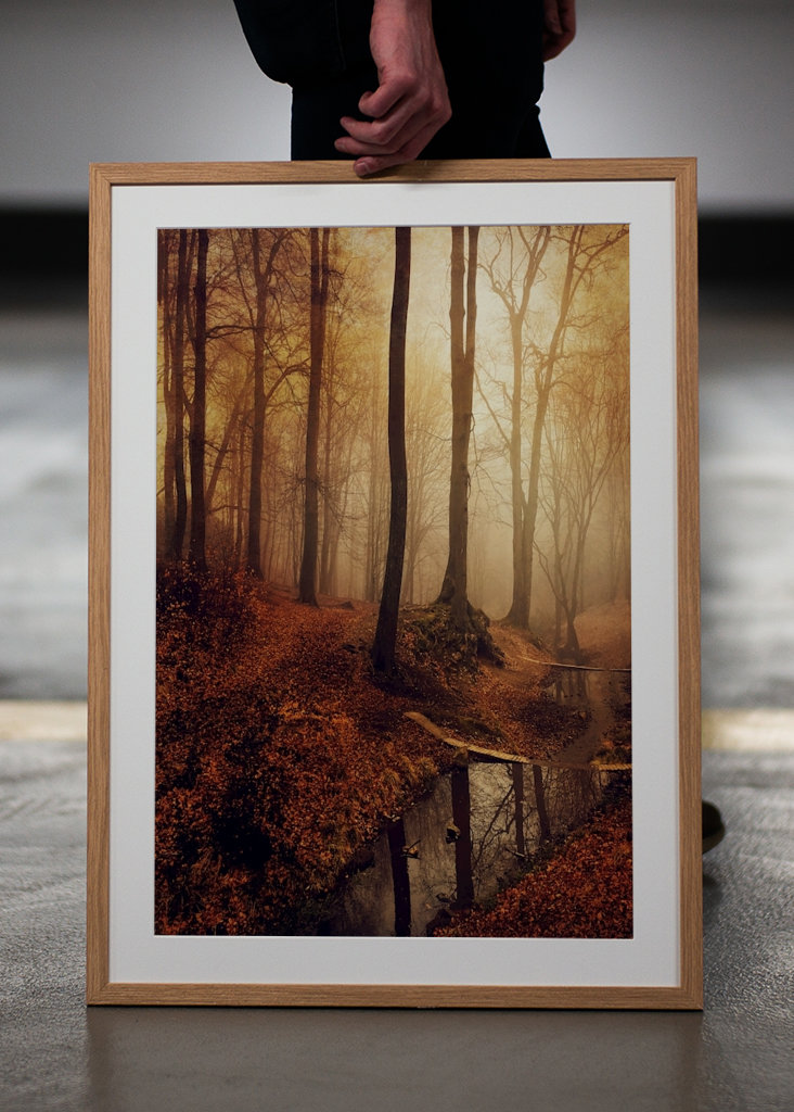 Forest Creek in Autumn