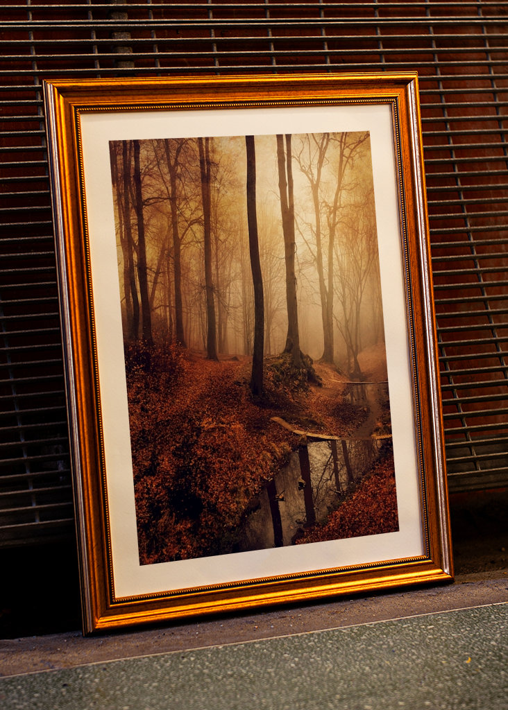 Forest Creek in Autumn