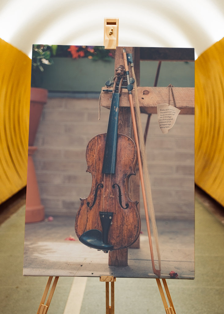 Violin in greenhouse