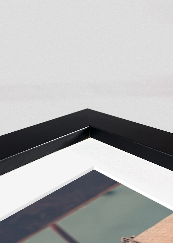 Violin in greenhouse