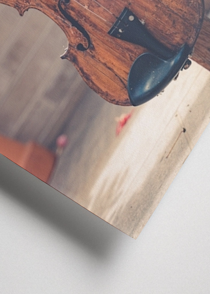 Violin in greenhouse