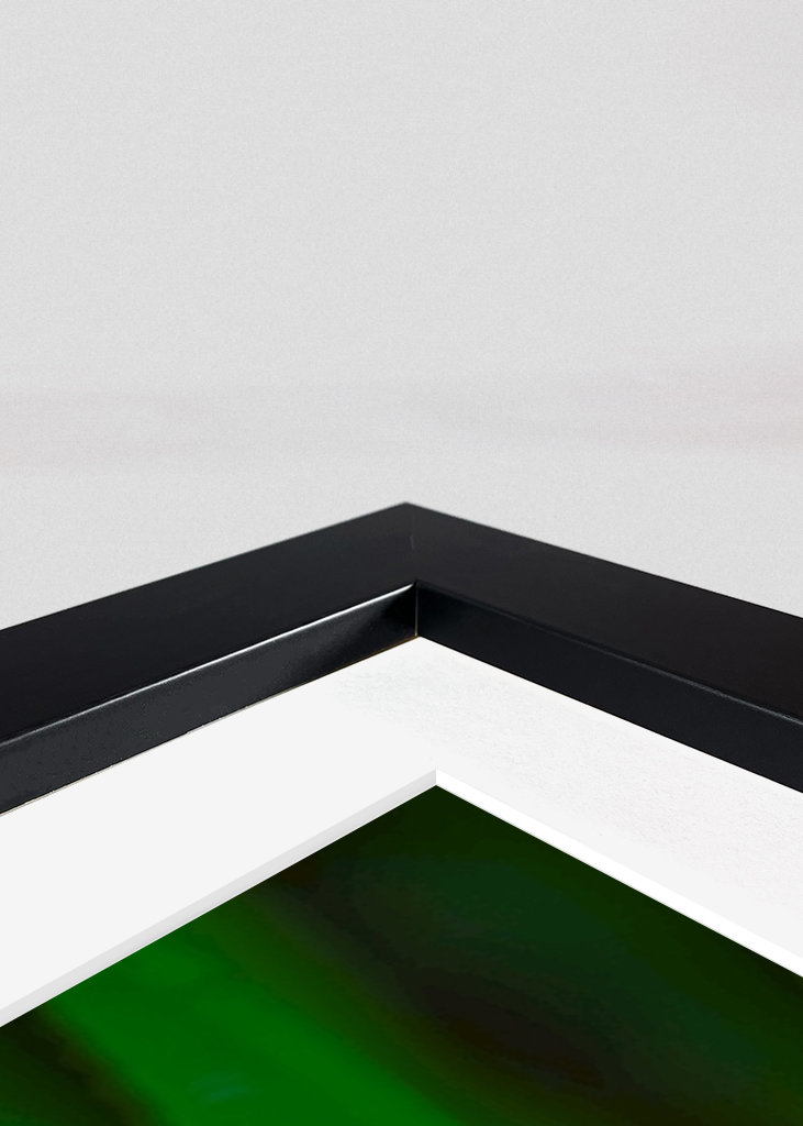 Líhnoucí se vážka