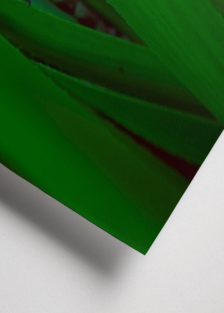 Líhnoucí se vážka