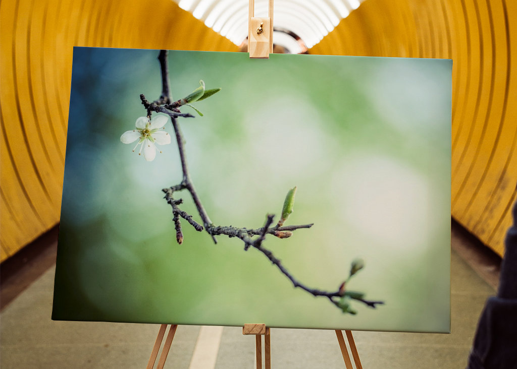 Le printemps vous attend