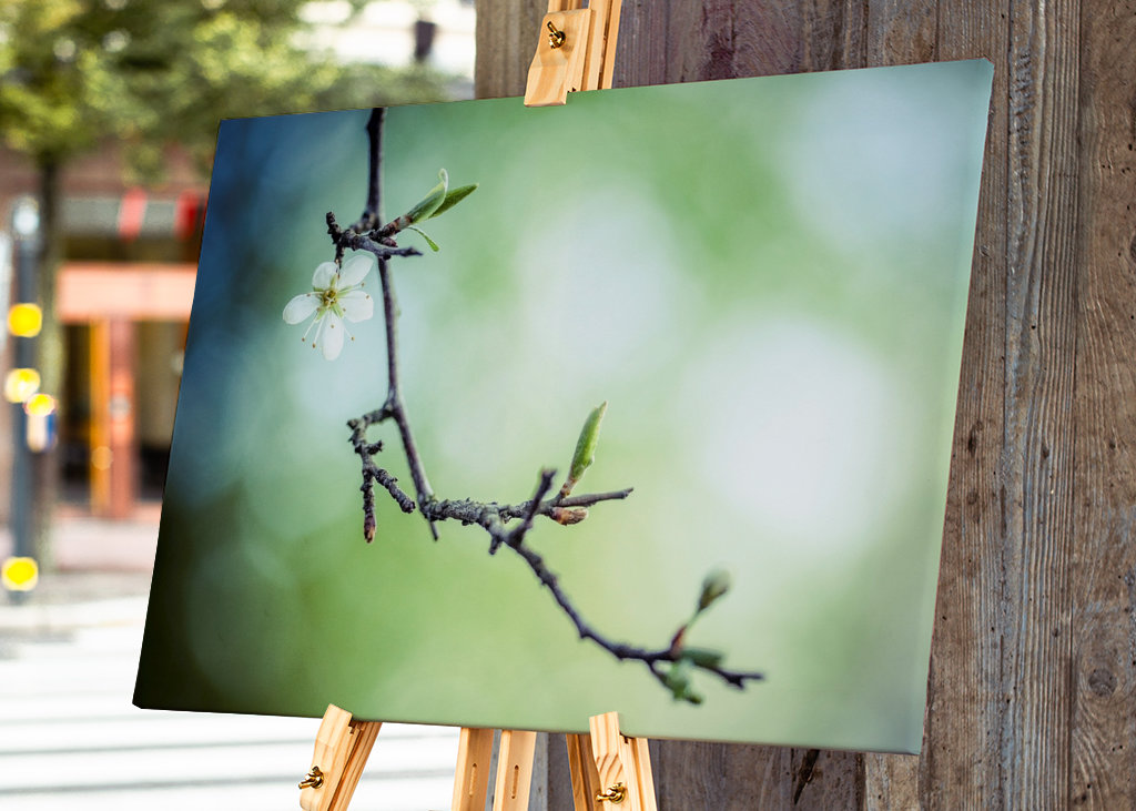 Le printemps vous attend