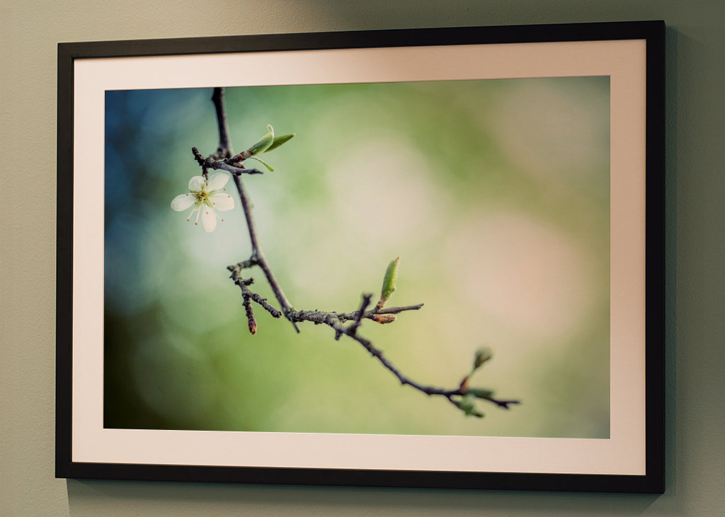 Le printemps vous attend