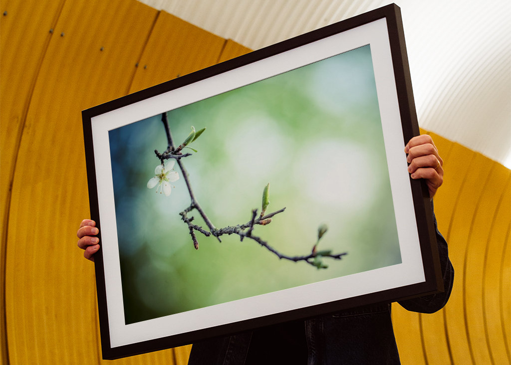 Le printemps vous attend