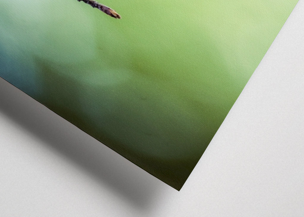 Le printemps vous attend