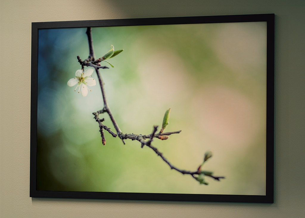 Le printemps vous attend