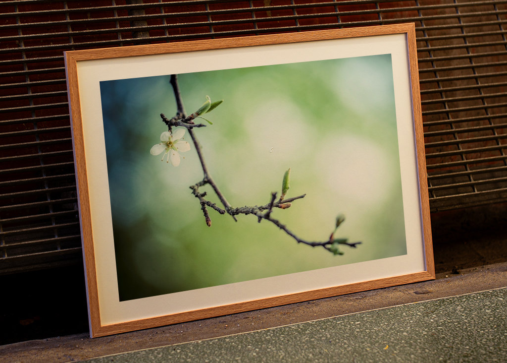 Le printemps vous attend