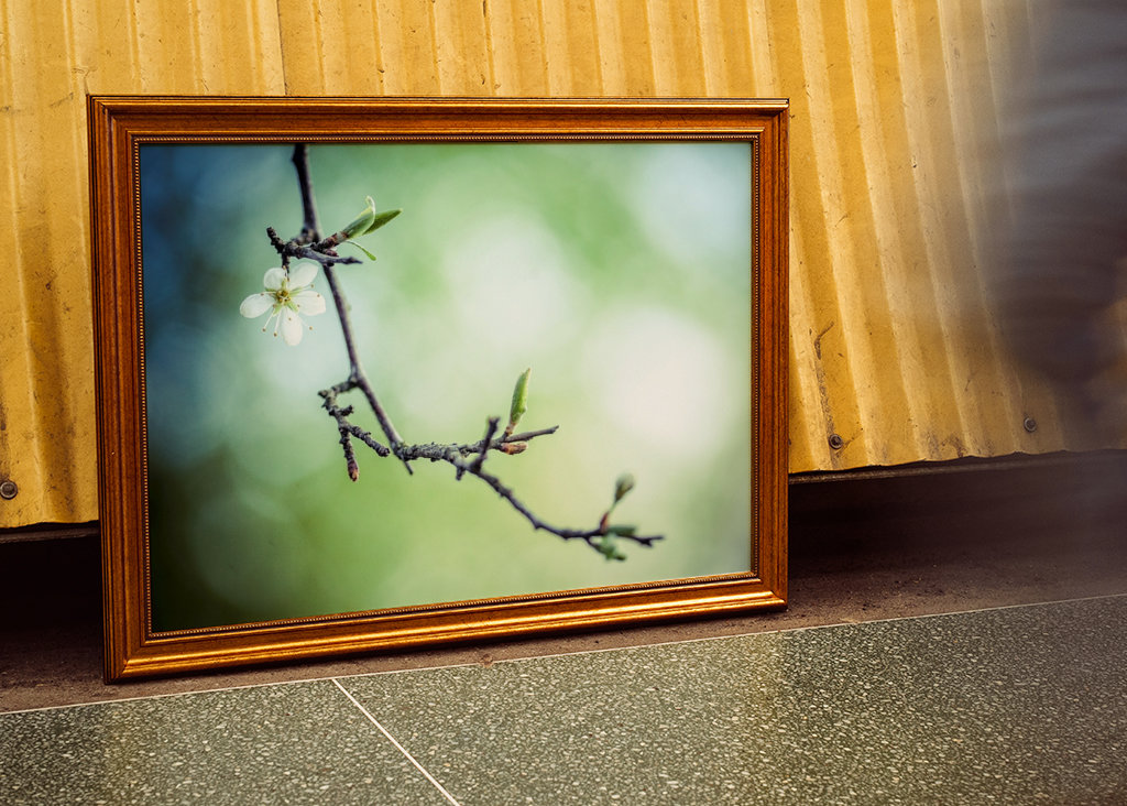 Le printemps vous attend