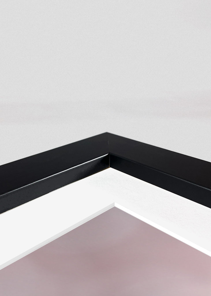 Getrocknete Hortensienblüten 02