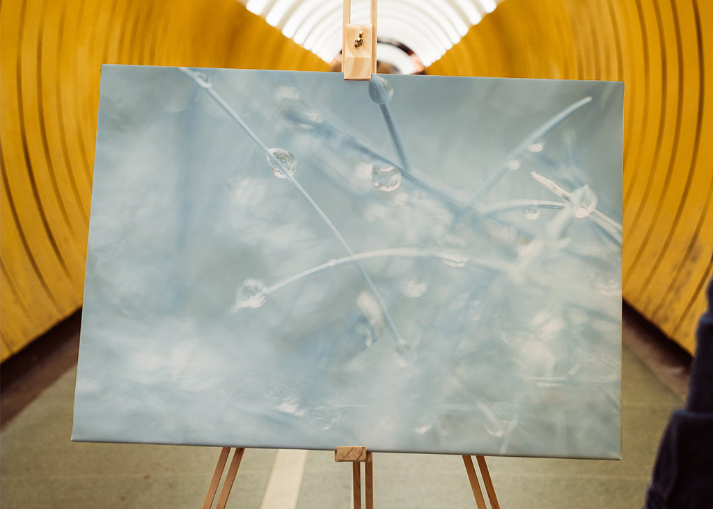 Si petit que nous sommes presque à l’écart