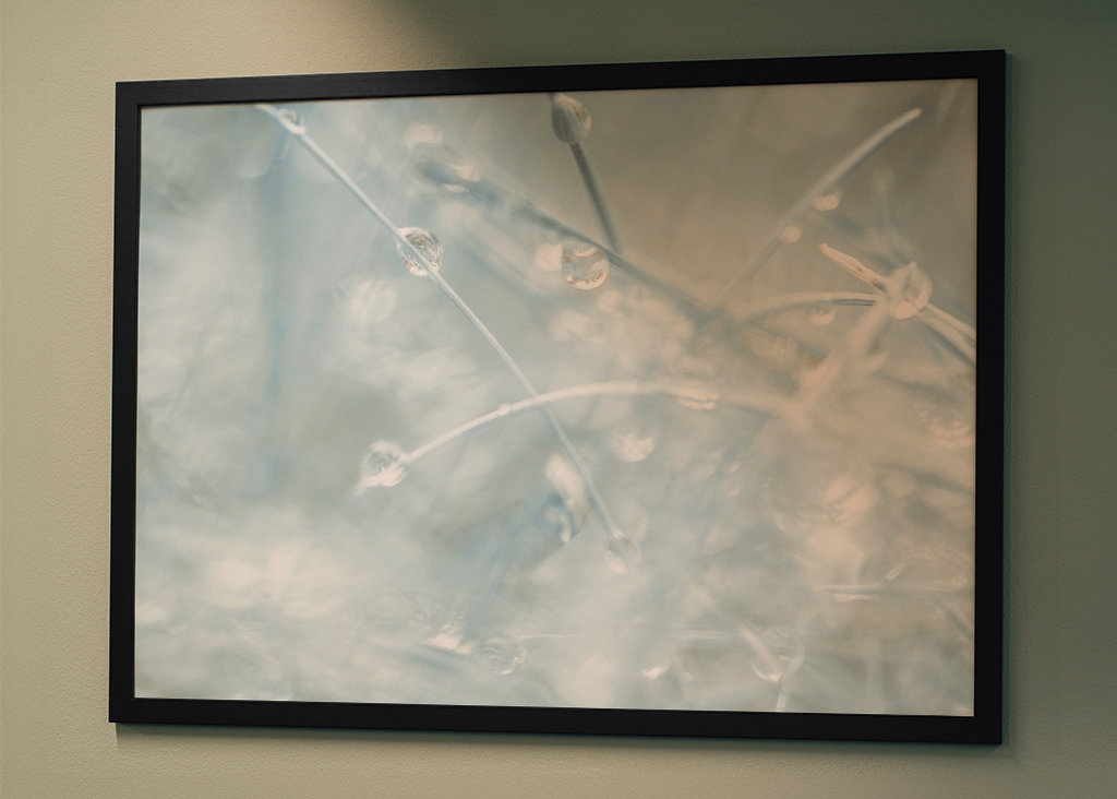 Si petit que nous sommes presque à l’écart