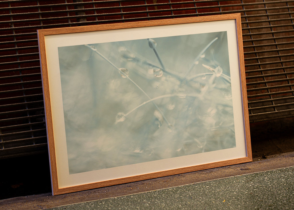 Si petit que nous sommes presque à l’écart