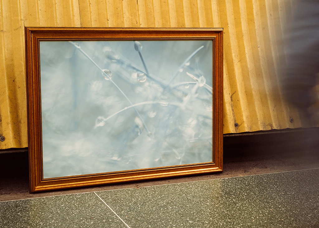 Si petit que nous sommes presque à l’écart