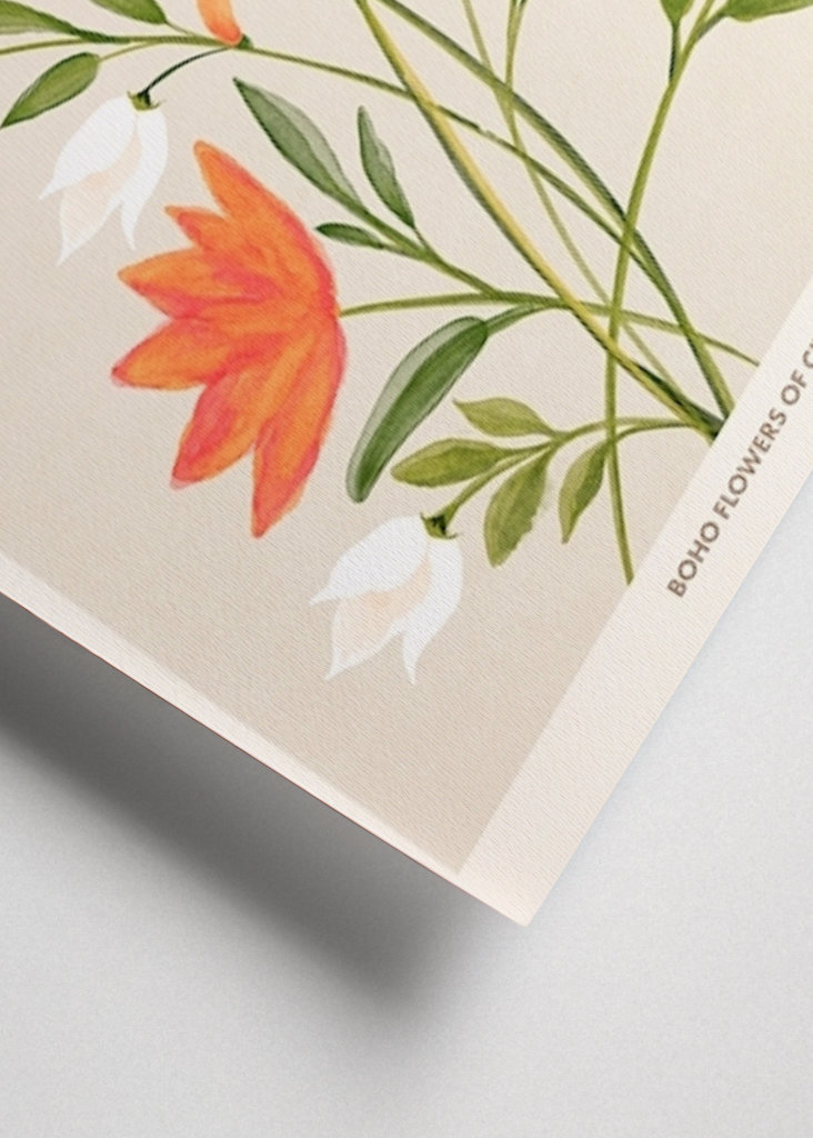 Blomstermarked Barcelona