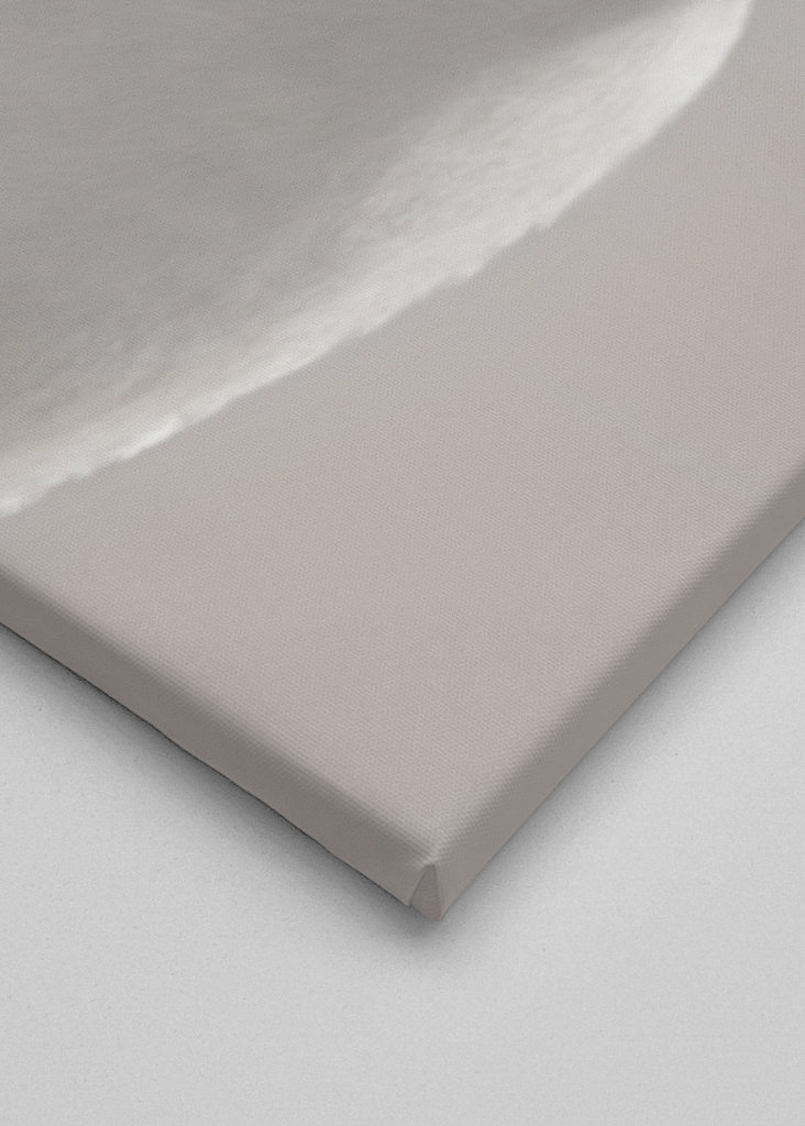 Zásady pro kočky - Meme