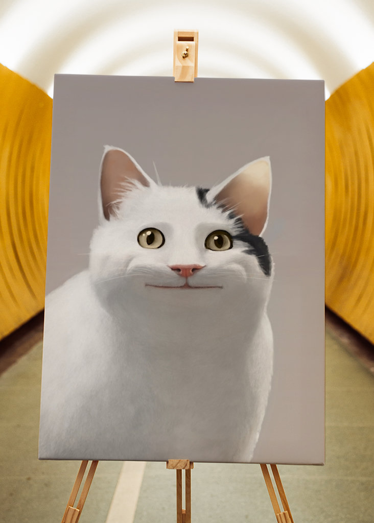 Zásady pro kočky - Meme