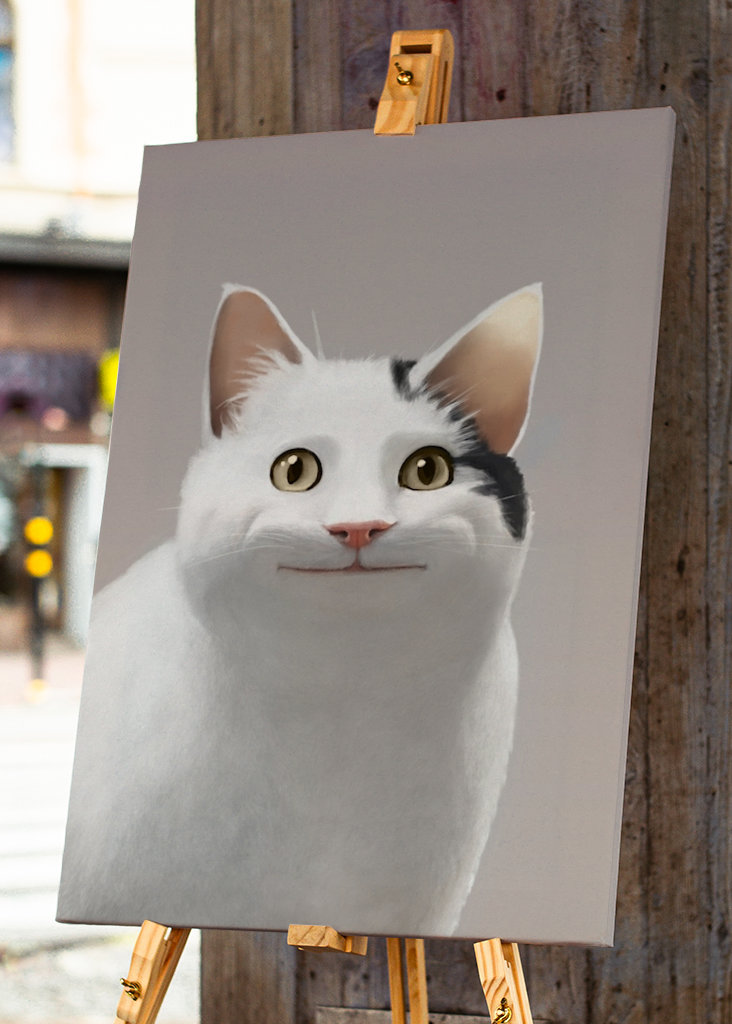 Zásady pro kočky - Meme