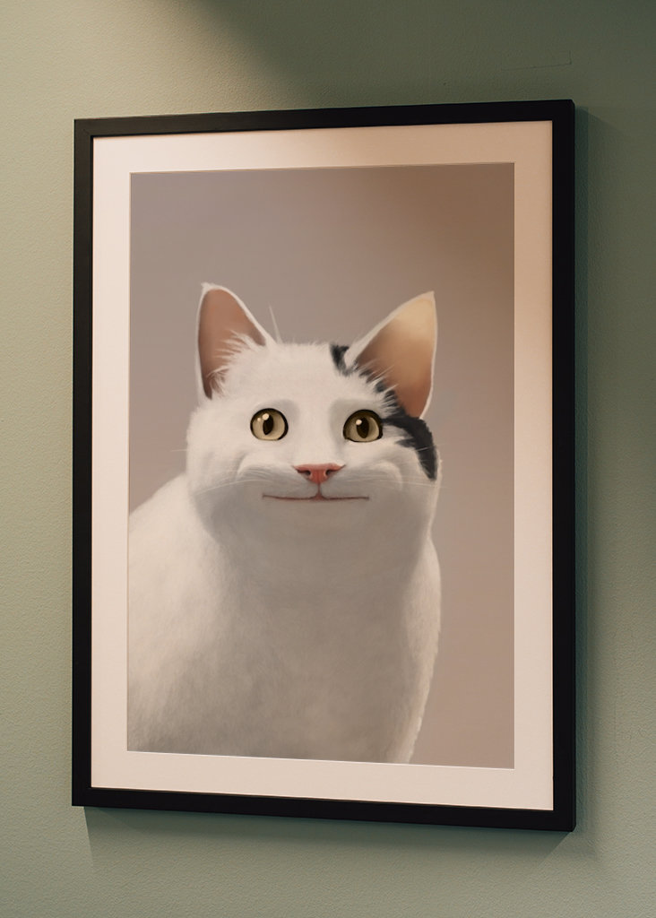 Zásady pro kočky - Meme