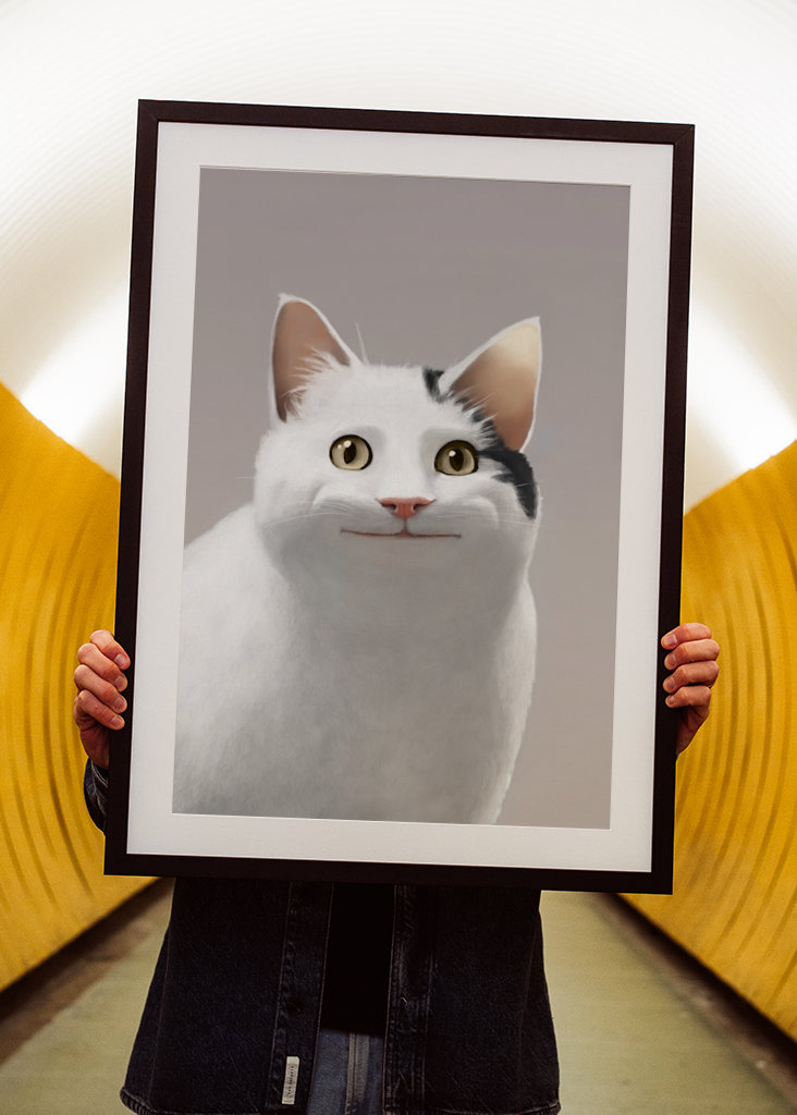 Zásady pro kočky - Meme