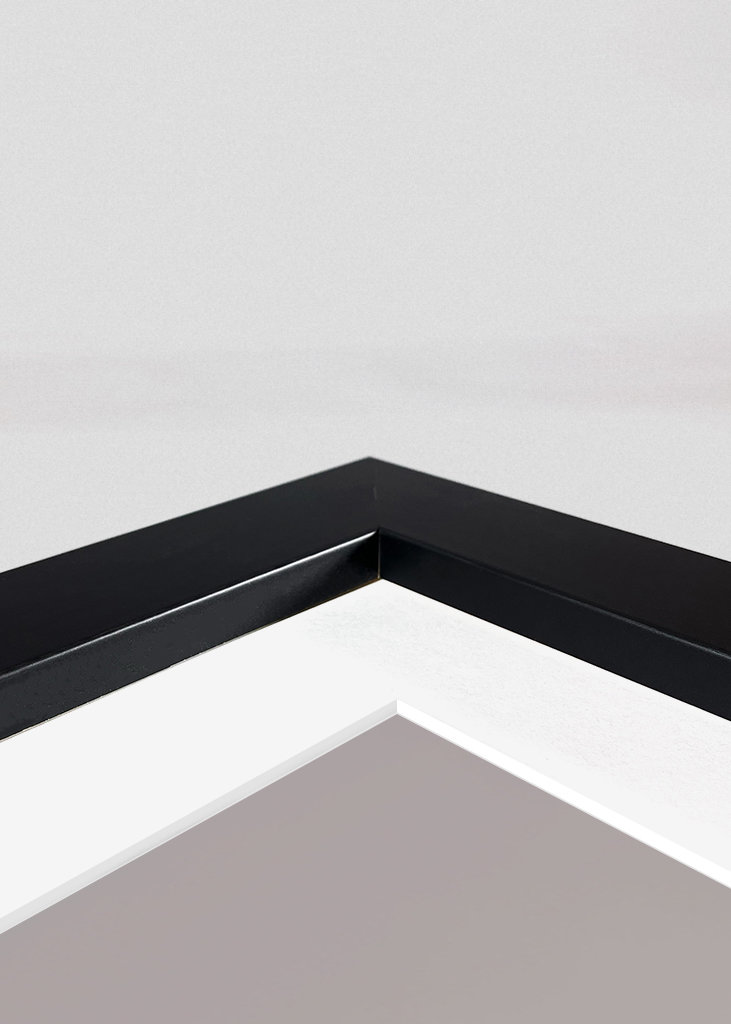 Zásady pro kočky - Meme