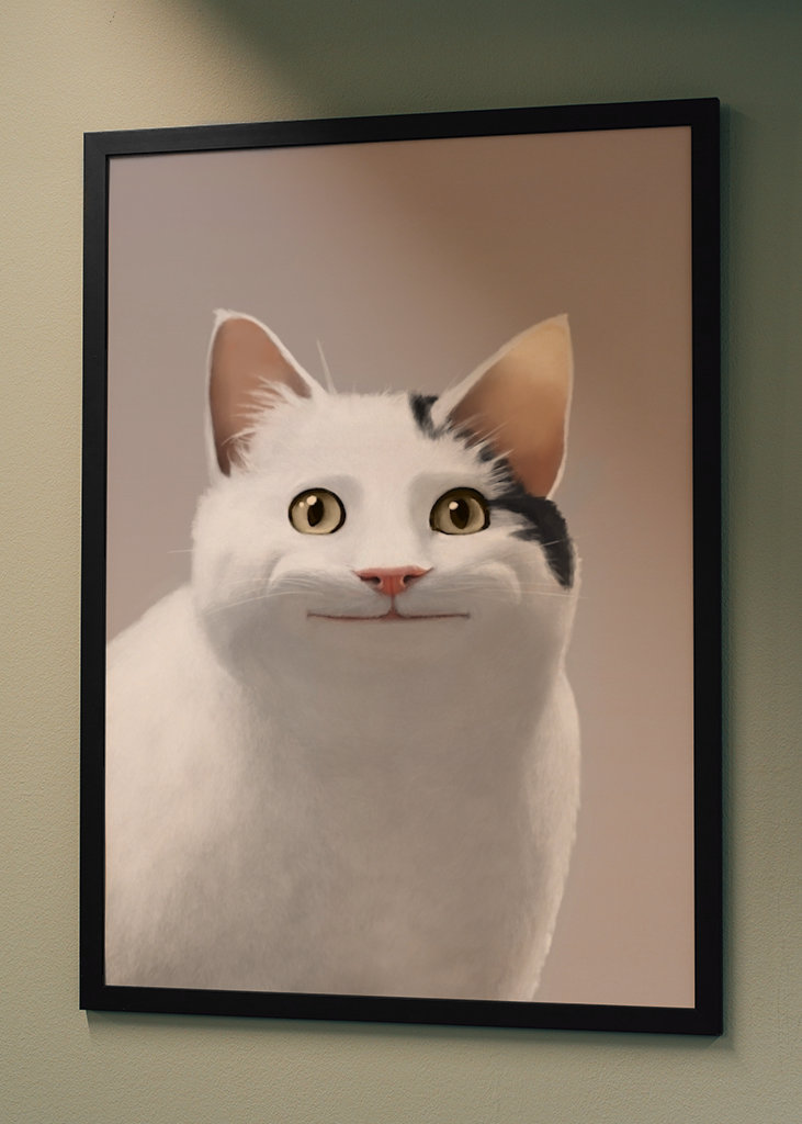 Zásady pro kočky - Meme