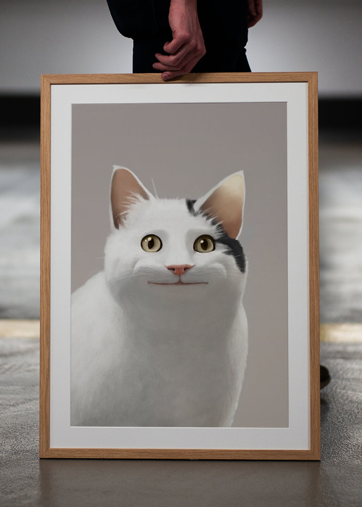 Zásady pro kočky - Meme