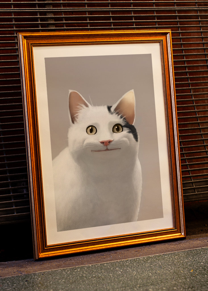 Zásady pro kočky - Meme