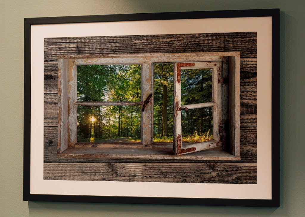 Fensterblick in den Wald