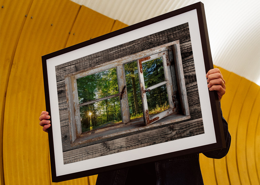Fensterblick in den Wald
