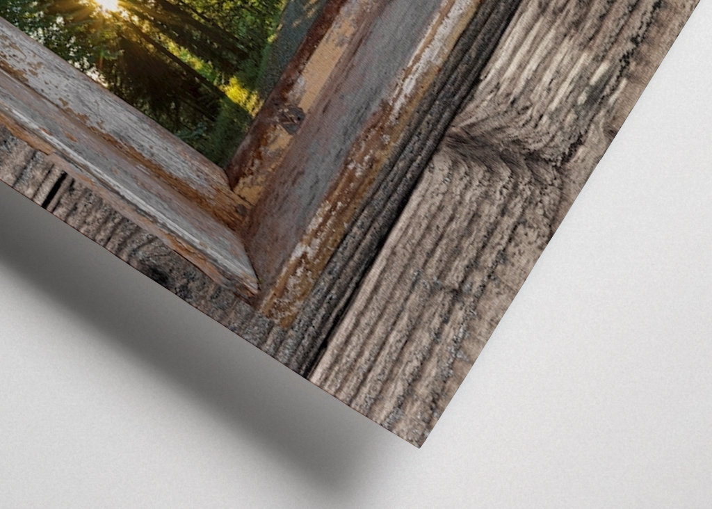 Fensterblick in den Wald