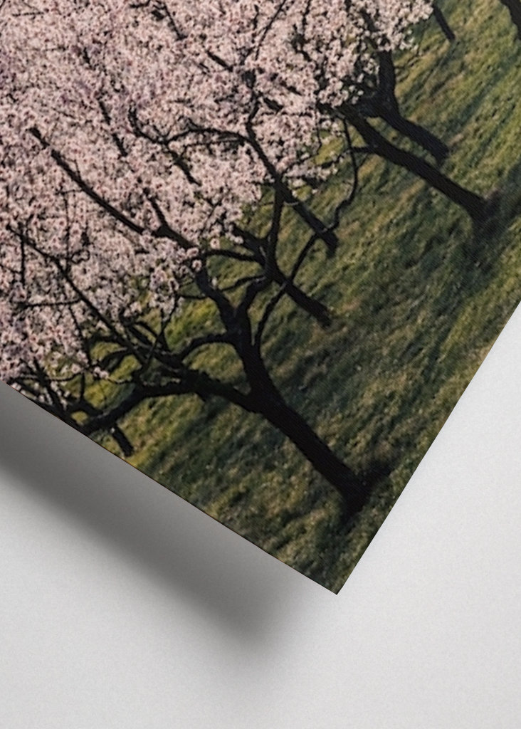 Prague Czech Republic Spring 