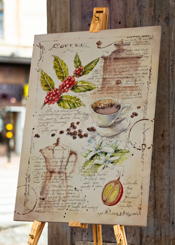 Del cuaderno de botánica - café