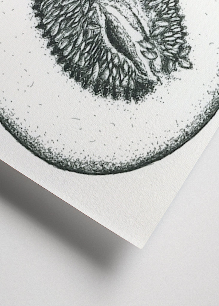 Aufgeschnittene Honigmelone