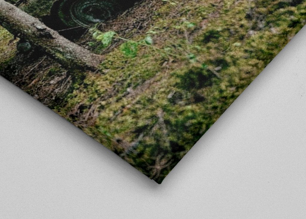 2 voitures abandonnées dans la forêt