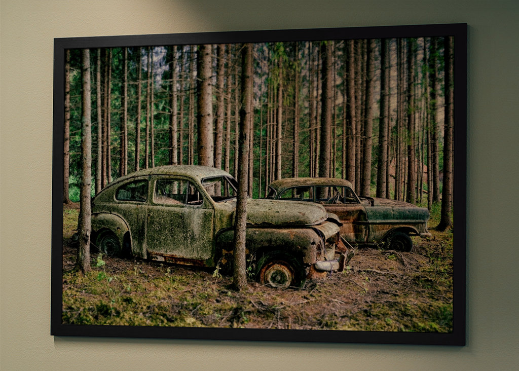 2 voitures abandonnées dans la forêt