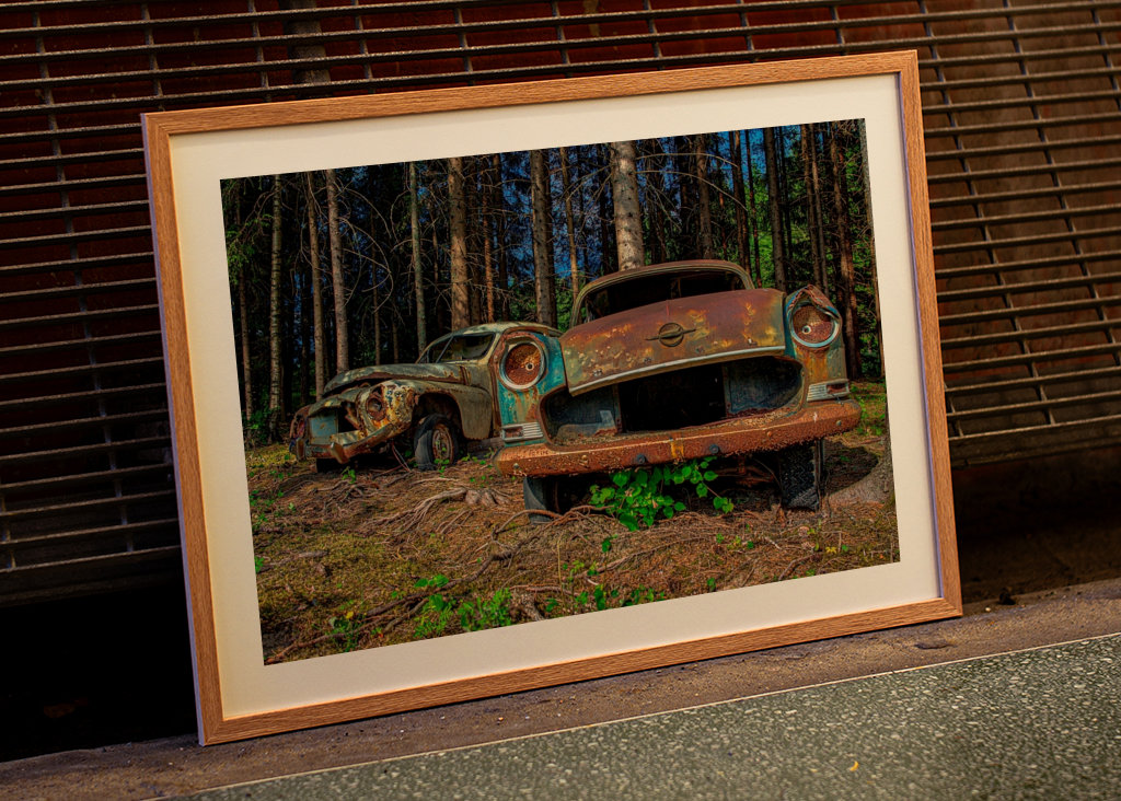 2 coches abandonados en el bosque