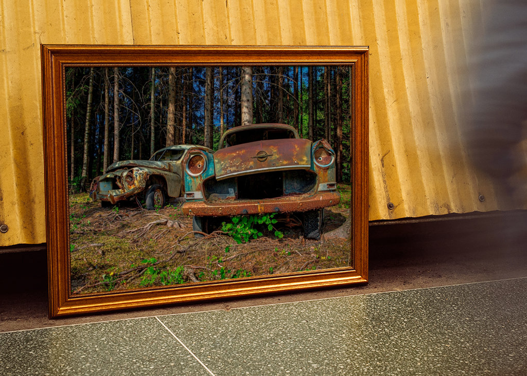 2 coches abandonados en el bosque
