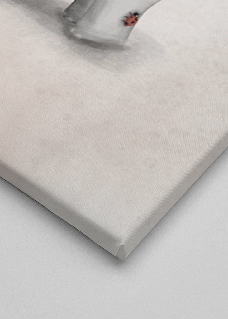 Pausa gelato Animal Friends