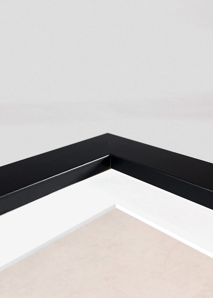 Pausa gelato Animal Friends