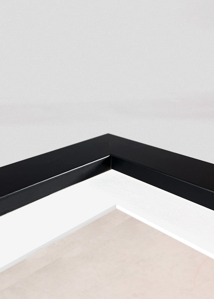 Festa degli Amici degli Animali