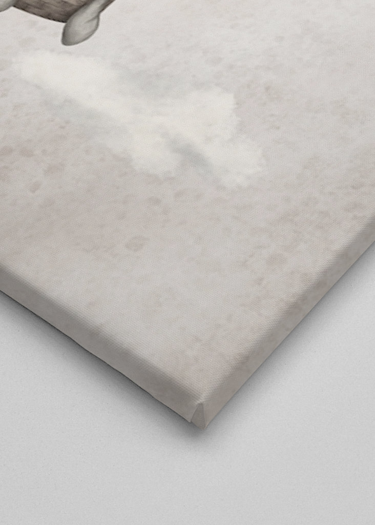 Heißluftballon Pink