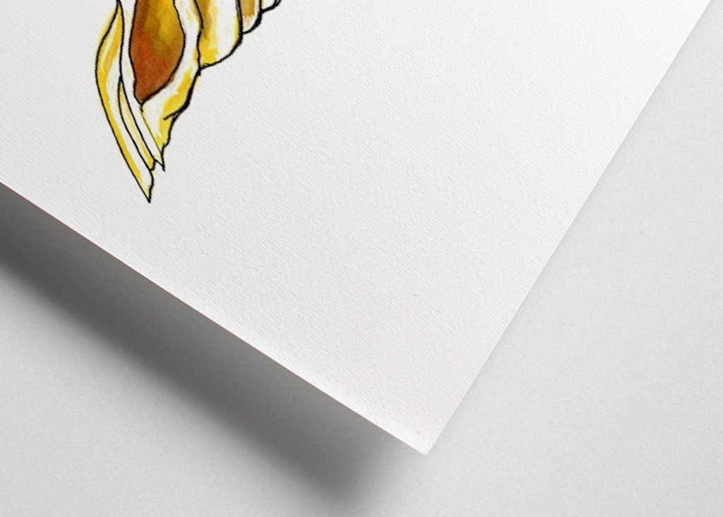 Brændende Ballerina