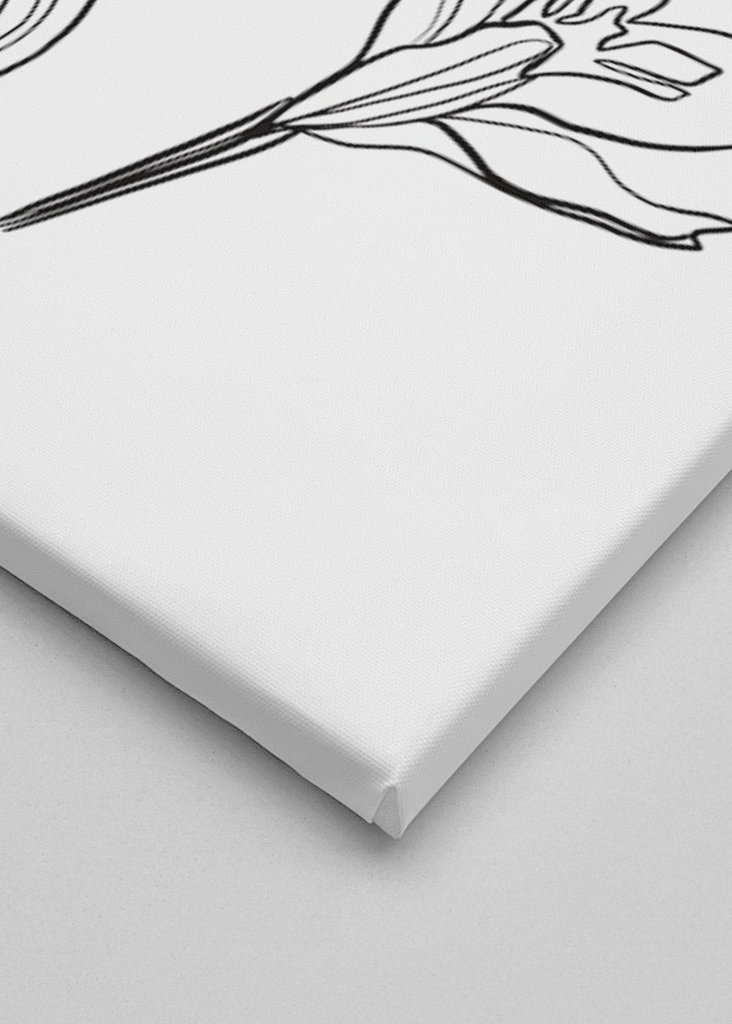 orchid - sketchbook page