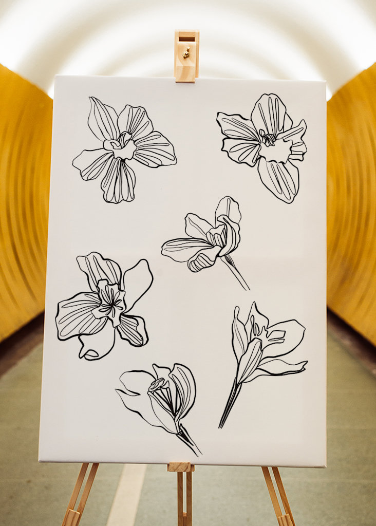 orchid - sketchbook page