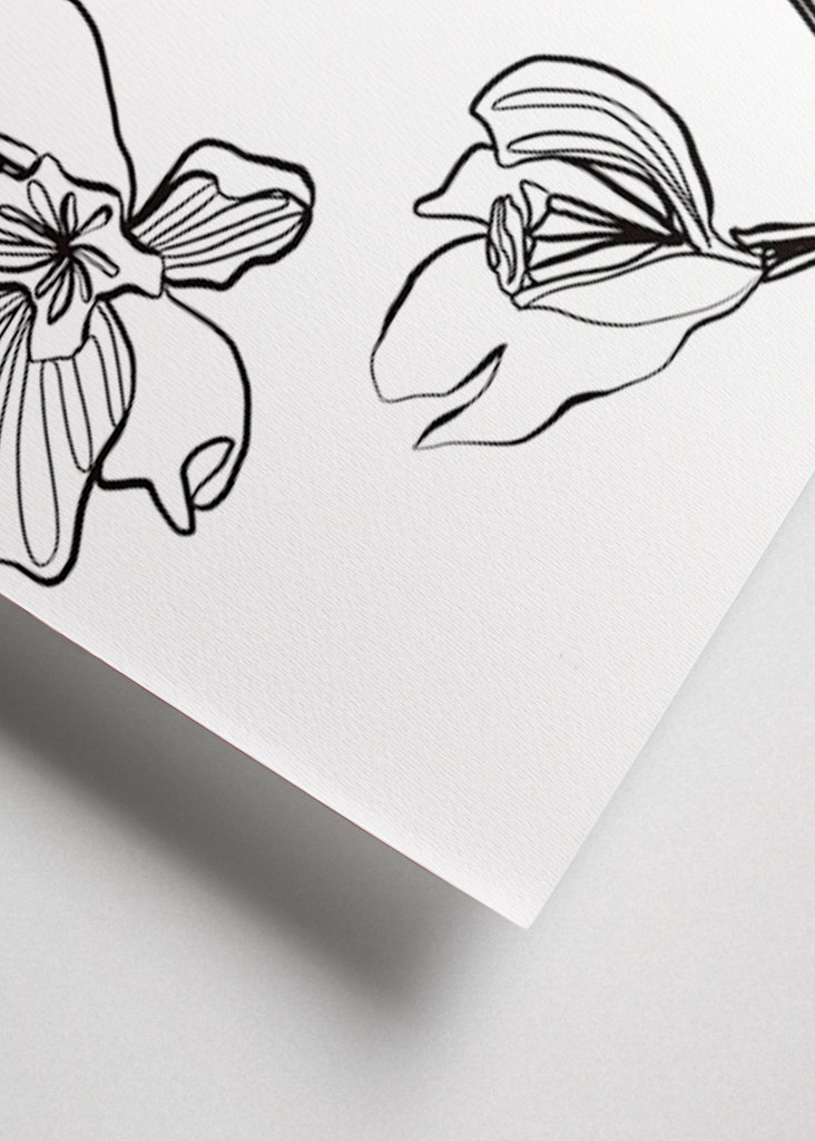 orchid - sketchbook page