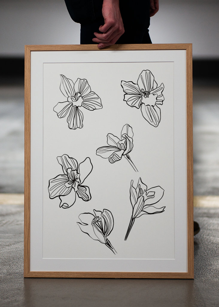 orchid - sketchbook page